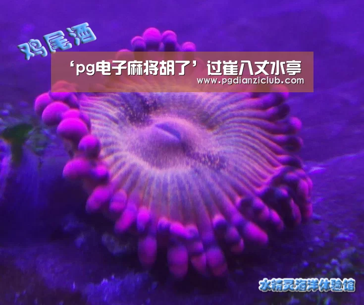 ‘pg电子麻将胡了’过崔八丈水亭(图2)