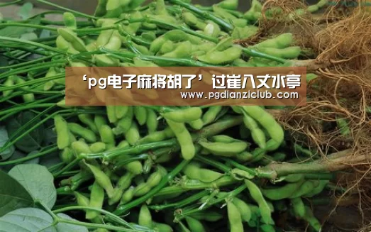 电子麻将胡了