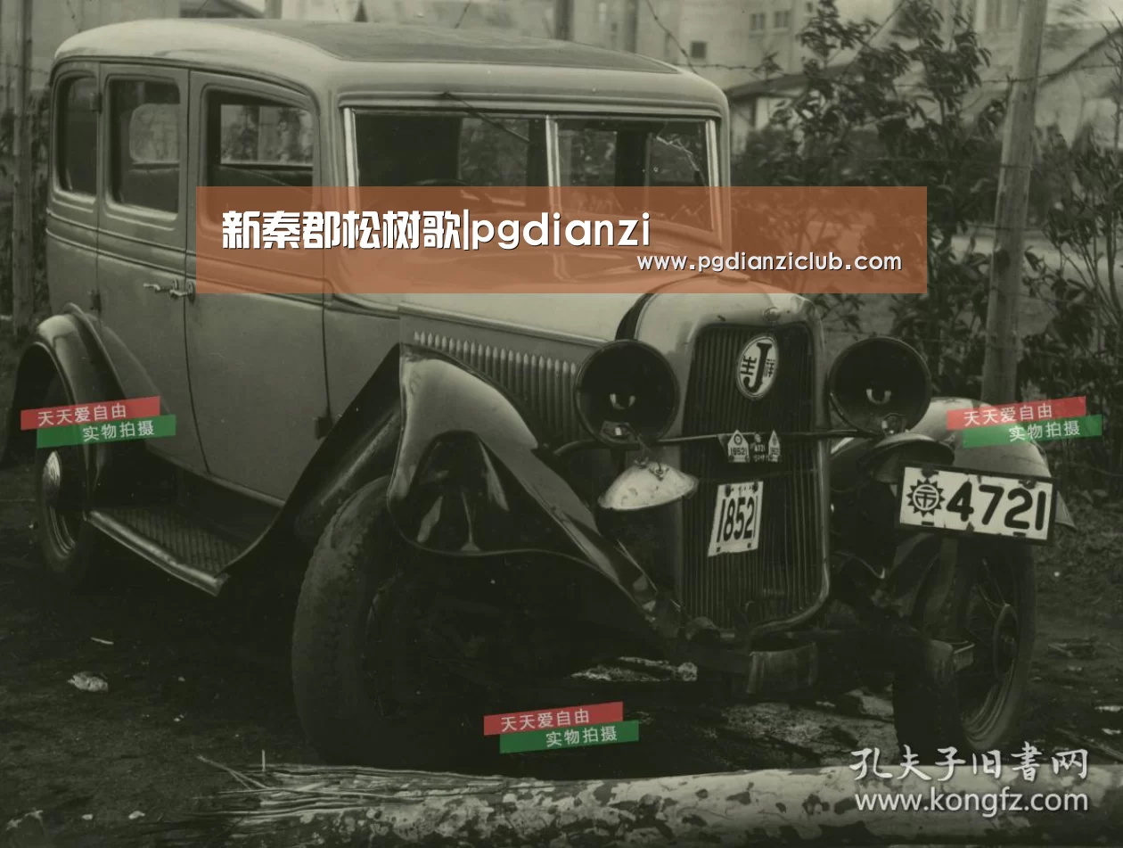 新秦郡松树歌|pgdianzi(图1) 电子麻将胡了