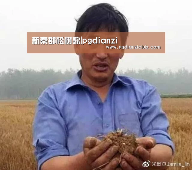 新秦郡松树歌|pgdianzi(图2) 新秦郡松树歌|pgdianzi(图2)