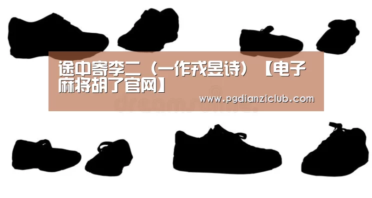 电子麻将胡了